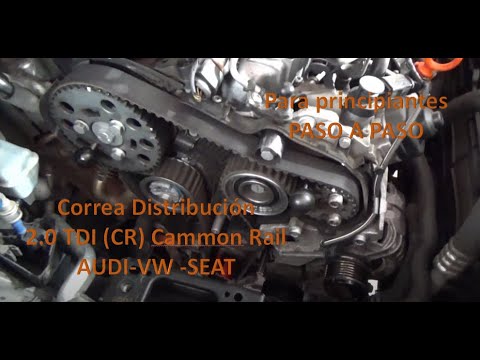 ¡Descubre cuándo cambiar la correa de distribución en el Audi Q3 2.0 TDI!